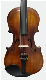 Ficha técnica e caractérísticas do produto Violino Stokmans Mod. Academy - 3/4