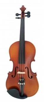 Ficha técnica e caractérísticas do produto Violino Stokmans - Mod. Estudante - 4/4 - C/ Estojo e Arco