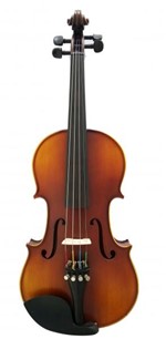 Ficha técnica e caractérísticas do produto Violino Stokmans - Mod. Profissional - 4/4 - C/ Estojo e Arco