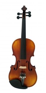 Ficha técnica e caractérísticas do produto Violino Stokmans - Mod. Profissional Elite - 4/4 - C/ Estojo e Arco