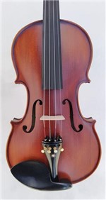 Ficha técnica e caractérísticas do produto Violino Stokmans Mod. Superior - 4/4