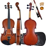 Ficha técnica e caractérísticas do produto Violino Tradicional 4/4 VHE-44N Natural Fosco Hoyden com Estojo