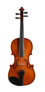 Ficha técnica e caractérísticas do produto Violino Vignoli 4/4 Iniciante Vig 144 com Case